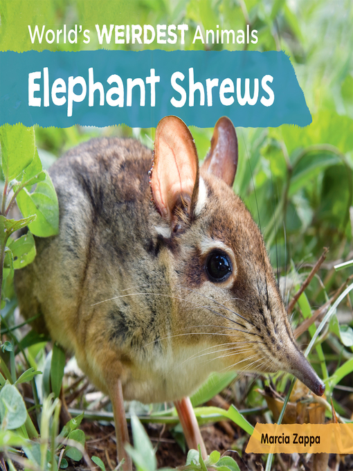 Title details for Elephant Shrews by Marcia Zappa - Available